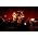Vignette de Dave Douglas