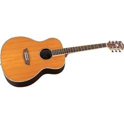 Washburn WD25 Series WG26S Acoustic Guitar On Sale