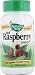Natures Way Red Raspberry Leaves , 480 mg, 100 Capsules