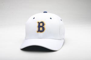 UCLA Bruins Zephyr Z-Fit Hat
