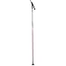 Sporting Goods : Swix Trail Cross Country Ski Poles