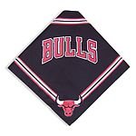 Dog Bandana - Chicago Bulls - Small
