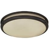 Buy American Fluorescent CSC2232RBT Contemporary 1-22, 1-32 Watt Round Flush Mount... by American Fluorescent