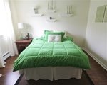 College Plush Comforter - Lime Green