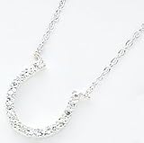 Sterling Silver Small Horseshoe Pendant on 16 inch Chain Necklace