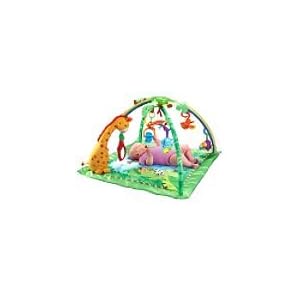 Fisher-Price Rainforest Melodies and Lights Deluxe Gym + Accessory Kit
