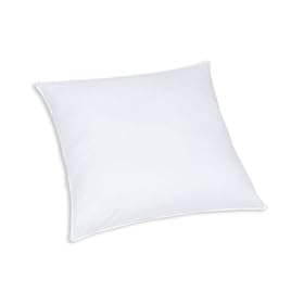 f.a.n. Frankenstolz - 01225-09625-10 - Coussin lisse - f.a.n. Kansas - 80 x 80 cm - DSB 135 x 200 test�e "tr�s bien" par le magazine Oeko-Test (Import Allemagne)