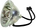 Panasonic TY-LA2004 Replacement Lamp