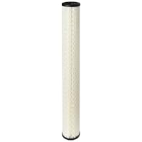Pentek S1-20 Pleated Cellulose Filter Cartridge, 20'' x 2-5/8'', 20 Micron
