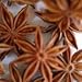 Indus Organics Star Anise, 8 Oz Jar, Premium Grade, Hand Selected, Freshly Packed