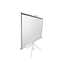 Projector Screen Manual 100"