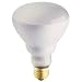WP 100W BR25 FLD Bulb