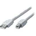 USB 2.0 Kabel A/Stecker - B/Stecker, 5 m, doppelt geschirmt, Silber/transparent