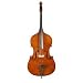 Musical Instruments : Carpathian Bass Outfit
