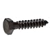 1/4" X 2" Hex Lag Screw, Blackened (Qty 20)
