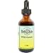 Wild Carrot Tincture