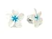HAWAIIAN LARGE FIMO PLUMERIA EARRINGS-1" (Blue Center)
