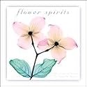 Flower Spirits 2009 Mini Wall Calendar