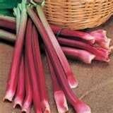 Victoria Red Rhubarb Seeds