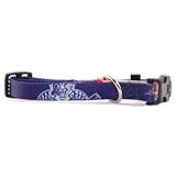 Florida Panthers Small Dog Collar