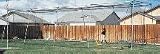 ATEC 70' Net for the Backyard Batting Cage
