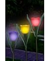 SOLAR TULIP LIGHTS