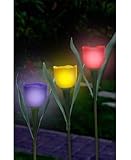 SOLAR TULIP LIGHTS