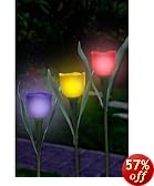 This item last updated: Nov 08, 2010