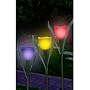 SOLAR TULIP LIGHTS