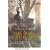 The Lore of the Land: A Guide to England's Legends, from Spring-heeled Jack to the Witches of Warboys
