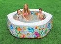 75" x 70" x 24" Swim Center Ocean Reef Pool