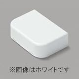 マサル工業 ◇◆お買い得品 2個セット◆◇ 《ニュー・エフモール 付属品》 分岐 B型 ミルキーホワイト SFMT23_2set