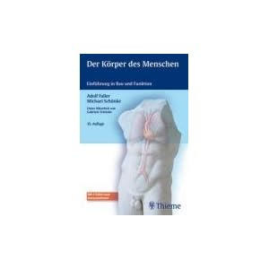 Der K�rper des Menschen: Einf�hrung in Bau und Funktion