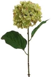 Flower and Plant Foliage, 12pc, Green 23" HYDRANGEA
