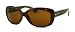 Ray Ban Sonnenbrille RB 4101 Shiny Brown(oz)(727)