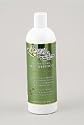 Shampoo-Mint - 16 oz - Liquid