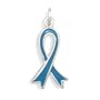 Sterling Silver Teal Enamel Awareness Ribbon Charm, 7/8 in, Ovarian Cancer