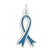 Teal Awareness Ribbon Charm
