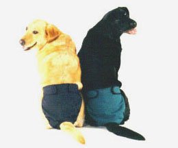 Hot Pants
