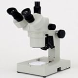 �J�[�g�� �Y�[�����̌����� DSZT-44E 10�{�`44�{