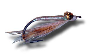 Epoxy Crazy Charlie - Fishing Fly