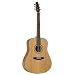 Seagull S6 Cedar Slim Acousic Guitar