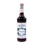 MONIN BLACKCURRANT, CS 12/750ML, 01-0125 MONIN INC MONIN SYRUPS