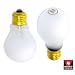 12,000-Hour 100-Watt Heavy-Duty Rough Service Light Bulbs - Quantity 10