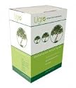 Mediterranean Double Bonsai Tree Seed Kit