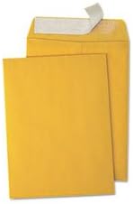 Peel Seal Strip Catalog Envelope