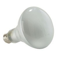 Halco 104070 - BR30FL65 Light Bulb