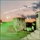 Slow Motion by  Andy Narell 