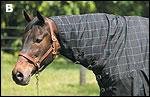 TuffRider 1680D Thermolined Turnout Blanket w/Integrated Neck