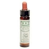 Ainsworths 10 ml Crab Apple Bach Flower Remedy